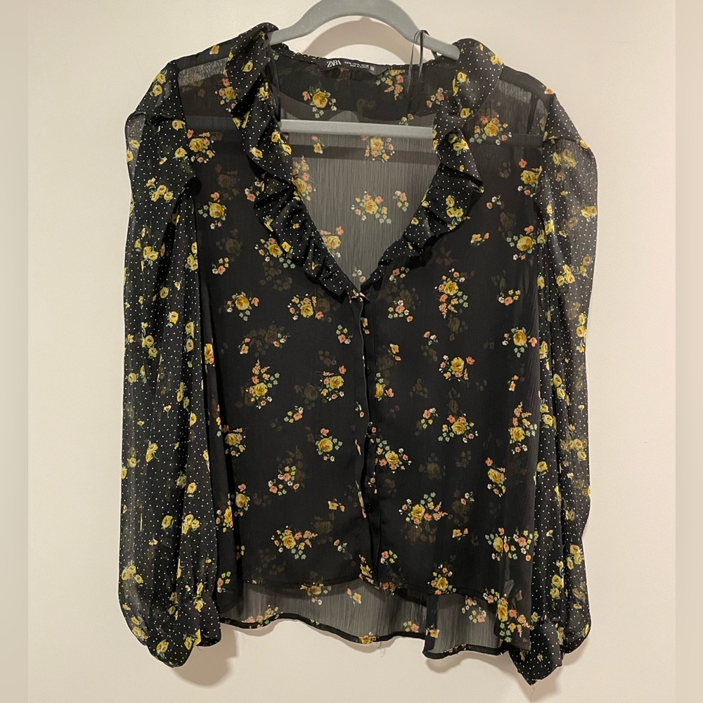 Zara Long Sleeve Sheer Blouse